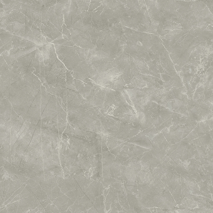 Wolf Grey